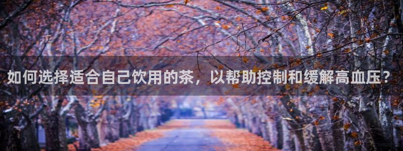 今年会送彩金28