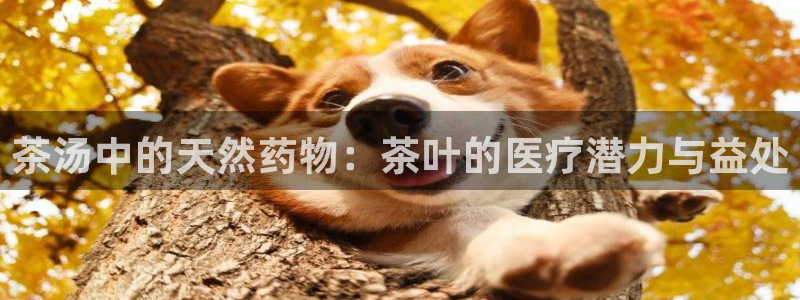 金年会 信誉至上