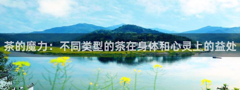 金年会娱乐提现