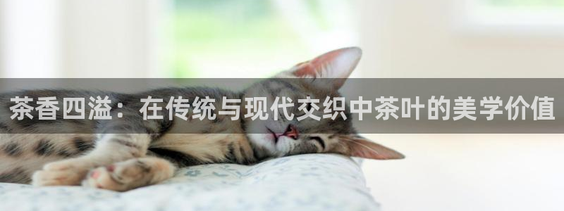 金年会金字招牌下载