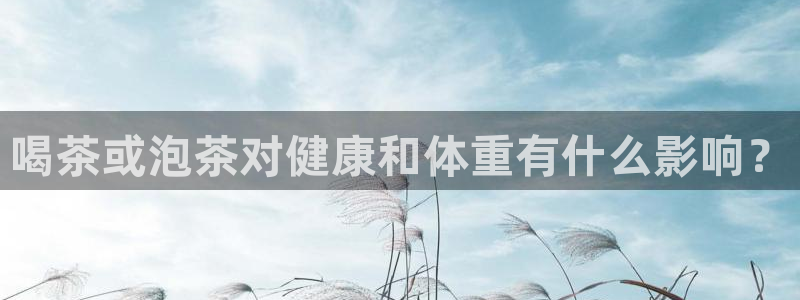 金帆年会2017