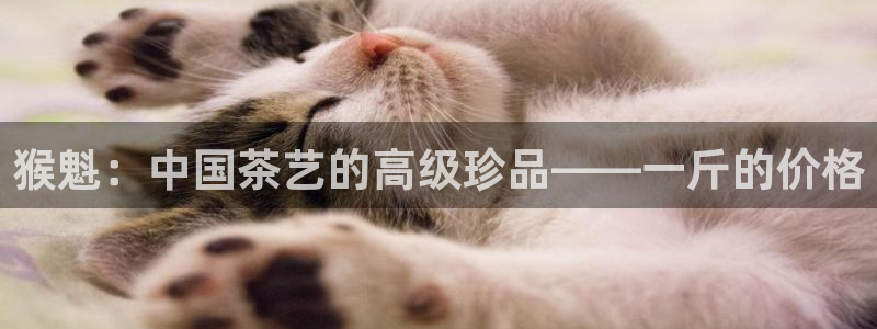 金年会体育下载