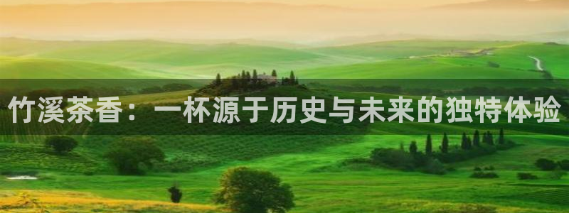金年会官