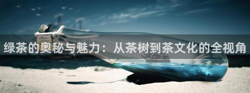金年会这个平台