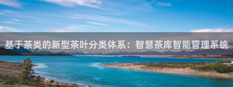 陆金所 年会