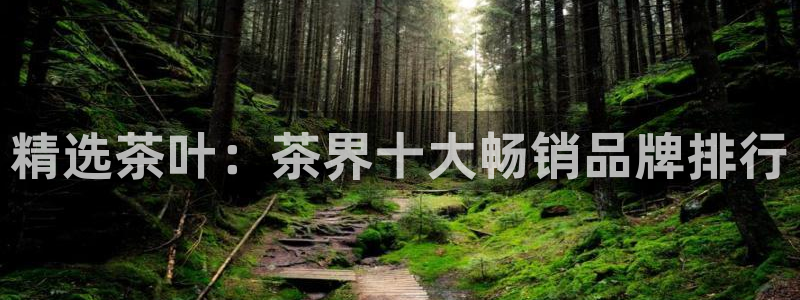 金联金年会