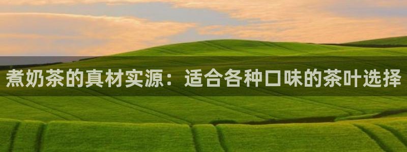 金年会最新下载