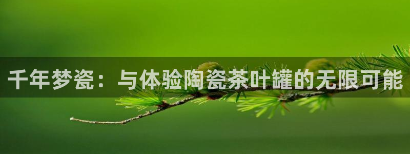宝金年会