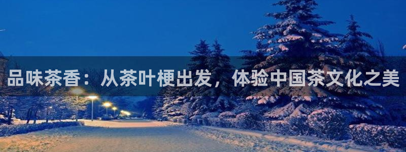 金辉城年会视频