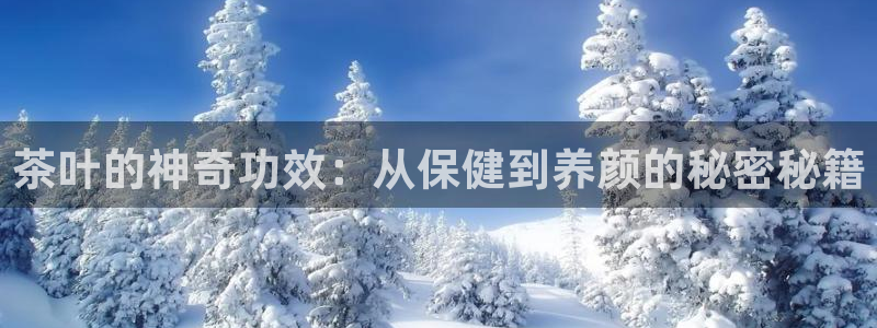 金年会游戏官网