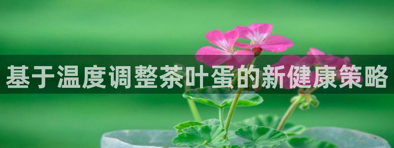 金年会体育娱乐