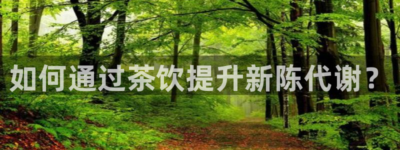 金年会电子游戏