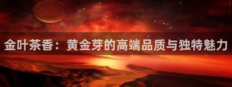 金年会官网地址