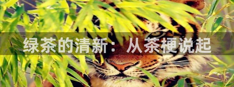 金年会最新登录