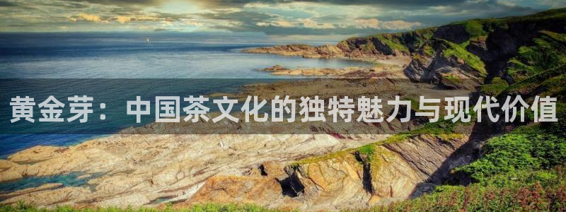 金年会网官网新版