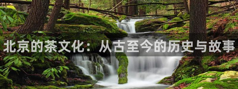 金年会注册官网