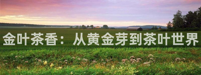 金年会娱乐官网