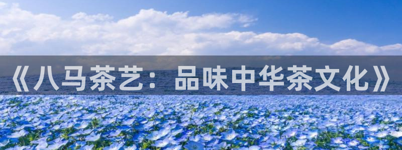 金年会体育平台入口