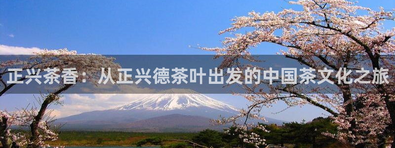 金年会首页登录