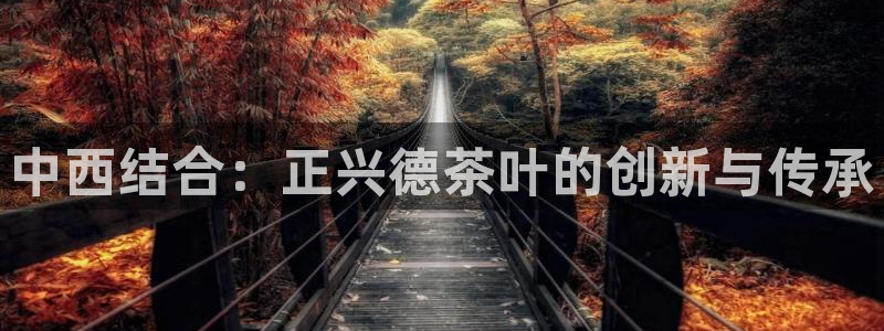 金年会平台是什么