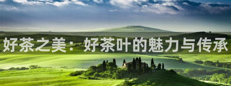 金年会是正规平台吗