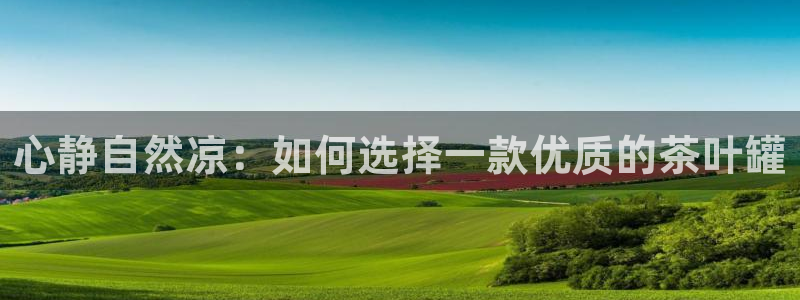 金年会手机网页登录