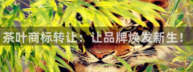 金年会官方网站入口