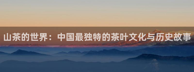 金年会体育平台入口