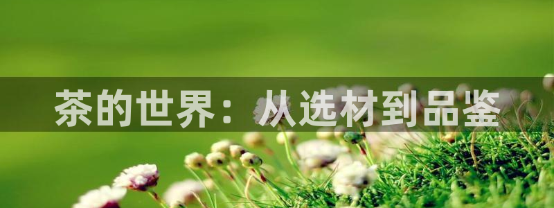 金年会体育平台入口