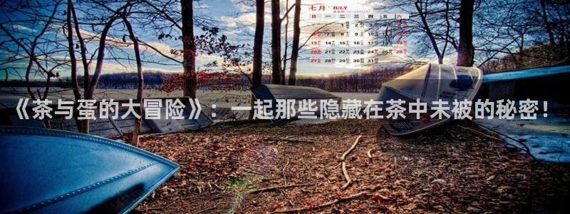 金年会 信誉至上