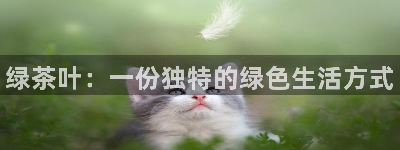 金年会入口网站