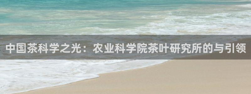 金年会app下载官网