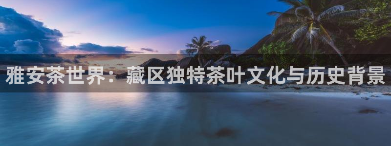 金年会体育娱乐